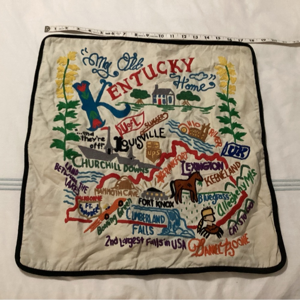 Cat studio Kentucky pillowcase